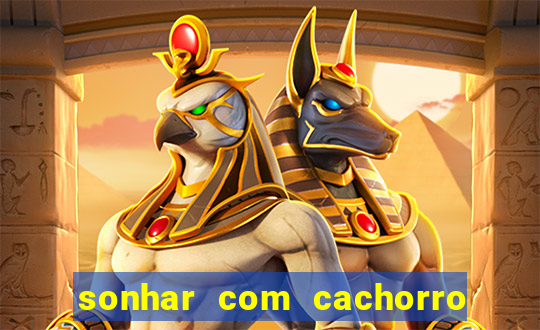 sonhar com cachorro cruzando jogo do bicho